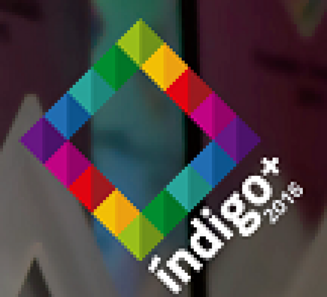 Indigo 2016 - Categoría de innovación digital para servicios