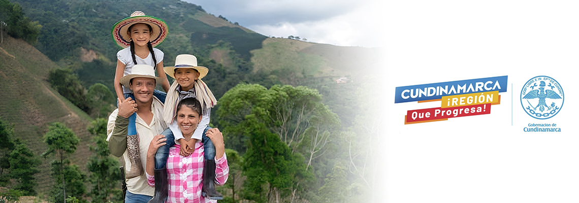 Inversión Inversión